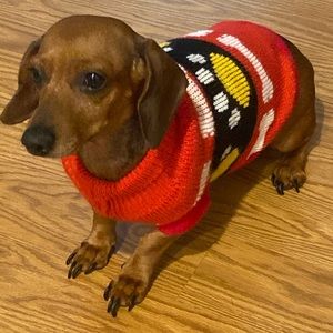 Dog Sweater for Small Dog